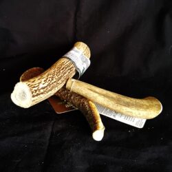 hastes de veado